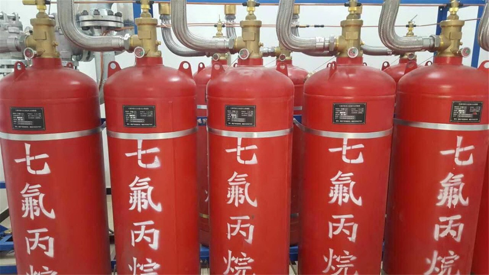 中嘉和信
